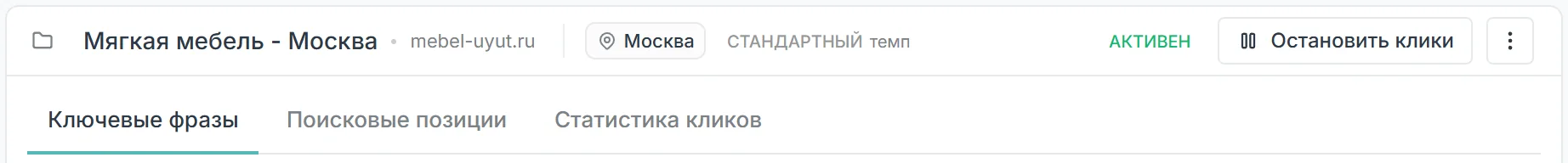 Шапка проекта: название и домен, город, темп, статус Активен, кнопка Остановить клики, меню с тремя точками и вкладки