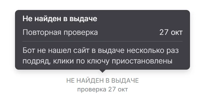 Подсказка к статусу Не найден в выдаче: дата повторной проверки и пояснение
