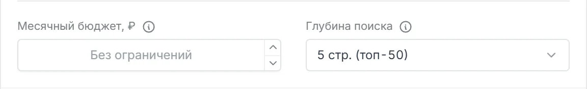 Поля Месячный бюджет и Глубина поиска в настройках проекта